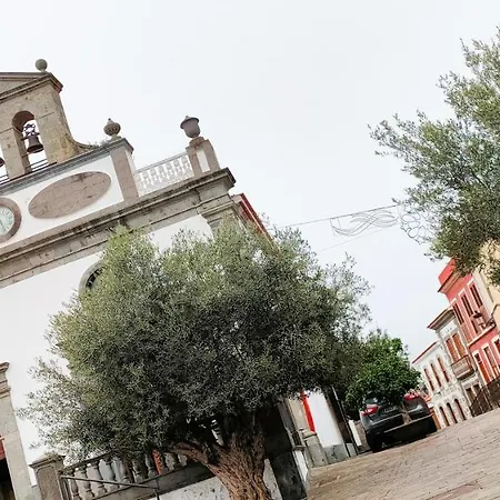 Encarna * Vega de San Mateo