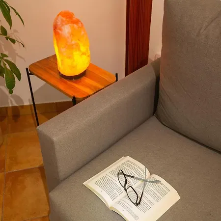 Apartment Encarna Vega de San Mateo